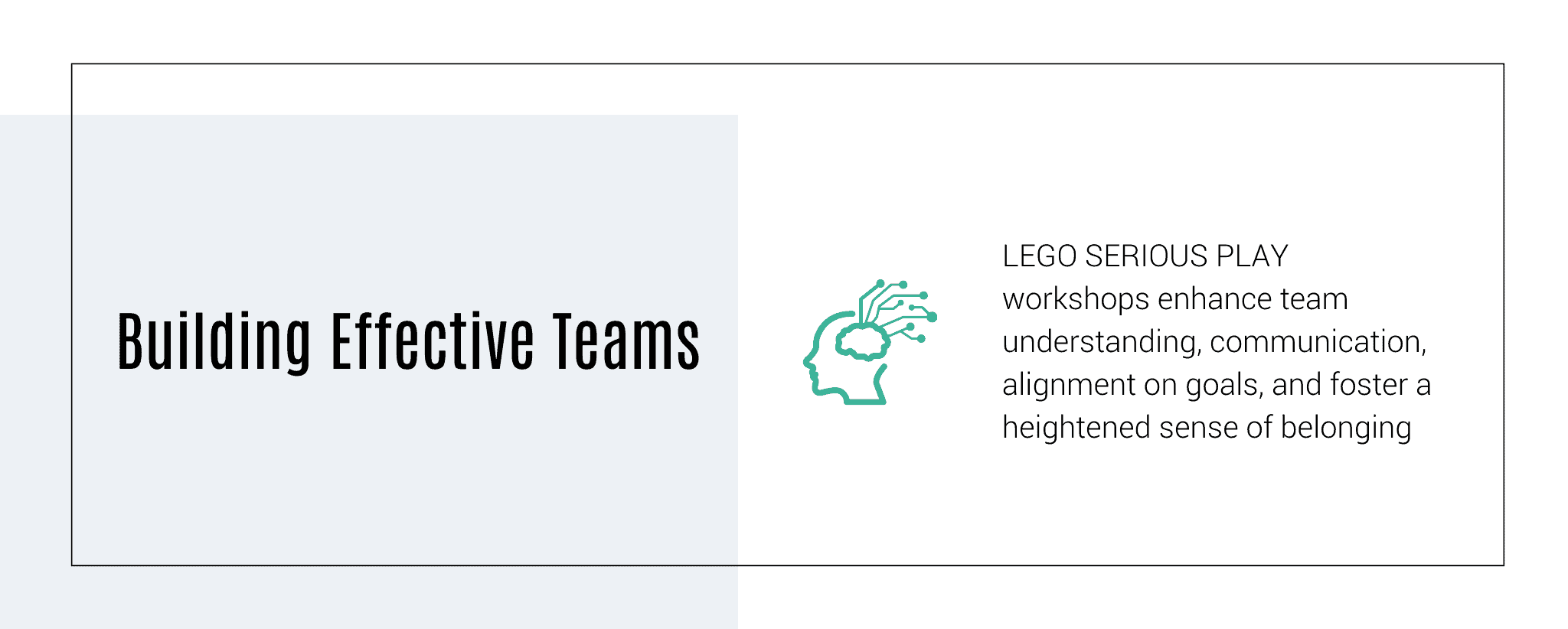 LEGO SERIOUS PLAY community